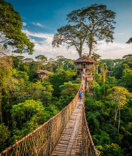Vive la majestuosidad de la Selva desde las Alturas
