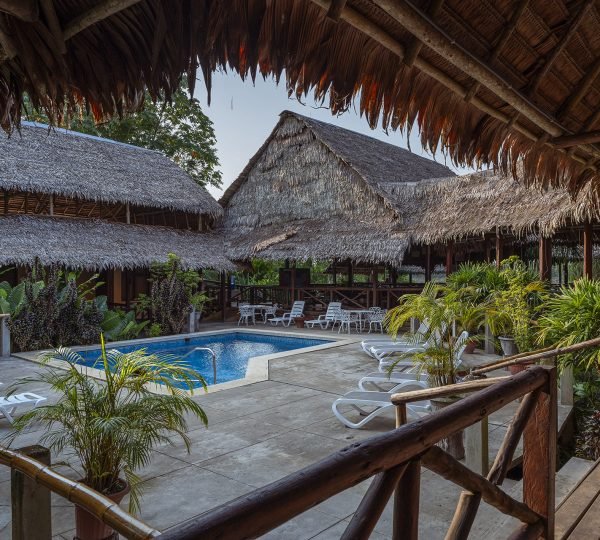 Heliconia Amazon River