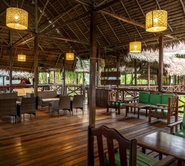 Heliconia Amazon River