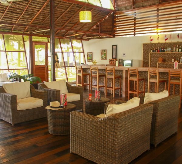 Heliconia Amazon River