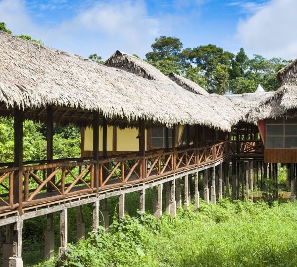 Heliconia Amazon River